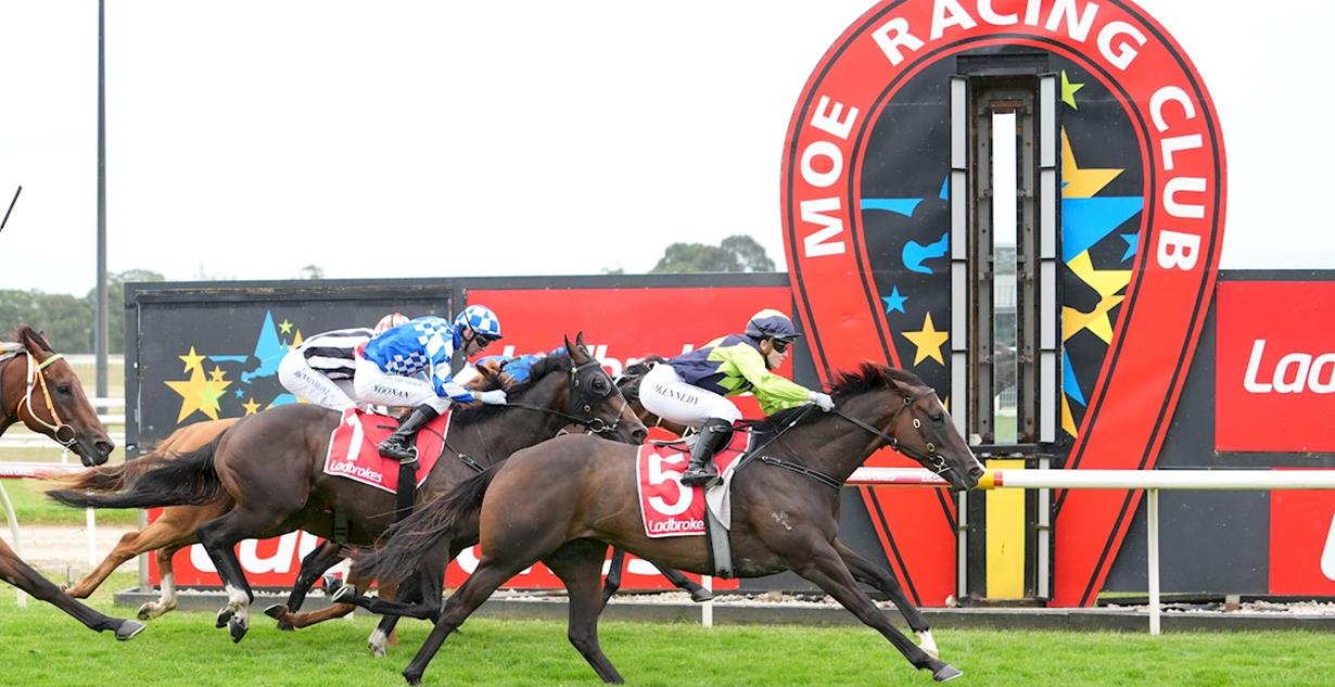 Stahnado - Moe 22nd February 2026